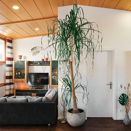 Feriehus Am Millibach